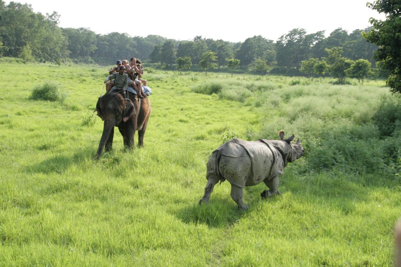 Park Safari Resort Sauraha Esterno foto